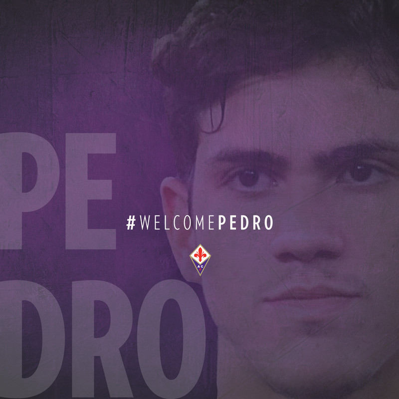 Arriva l'attaccante Pedro Guilherme Abreu Dos Santos • Nove da Firenze Arriva l'attaccante Pedro Guilherme Abreu Dos Santos • Nove da Firenze