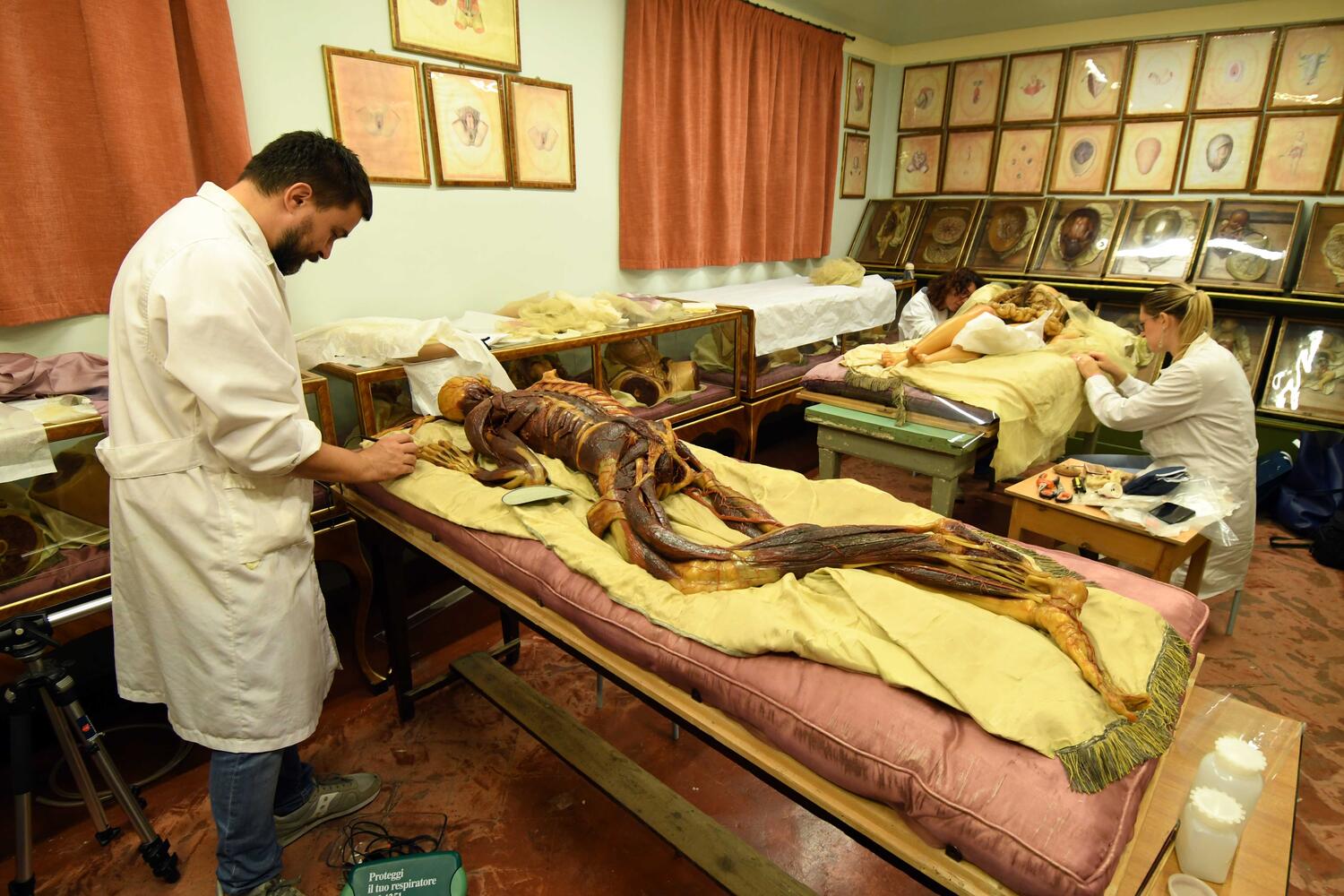 Mostri e Cadaveri a Roma dal Museo di Storia Naturale di Firenze • Nove