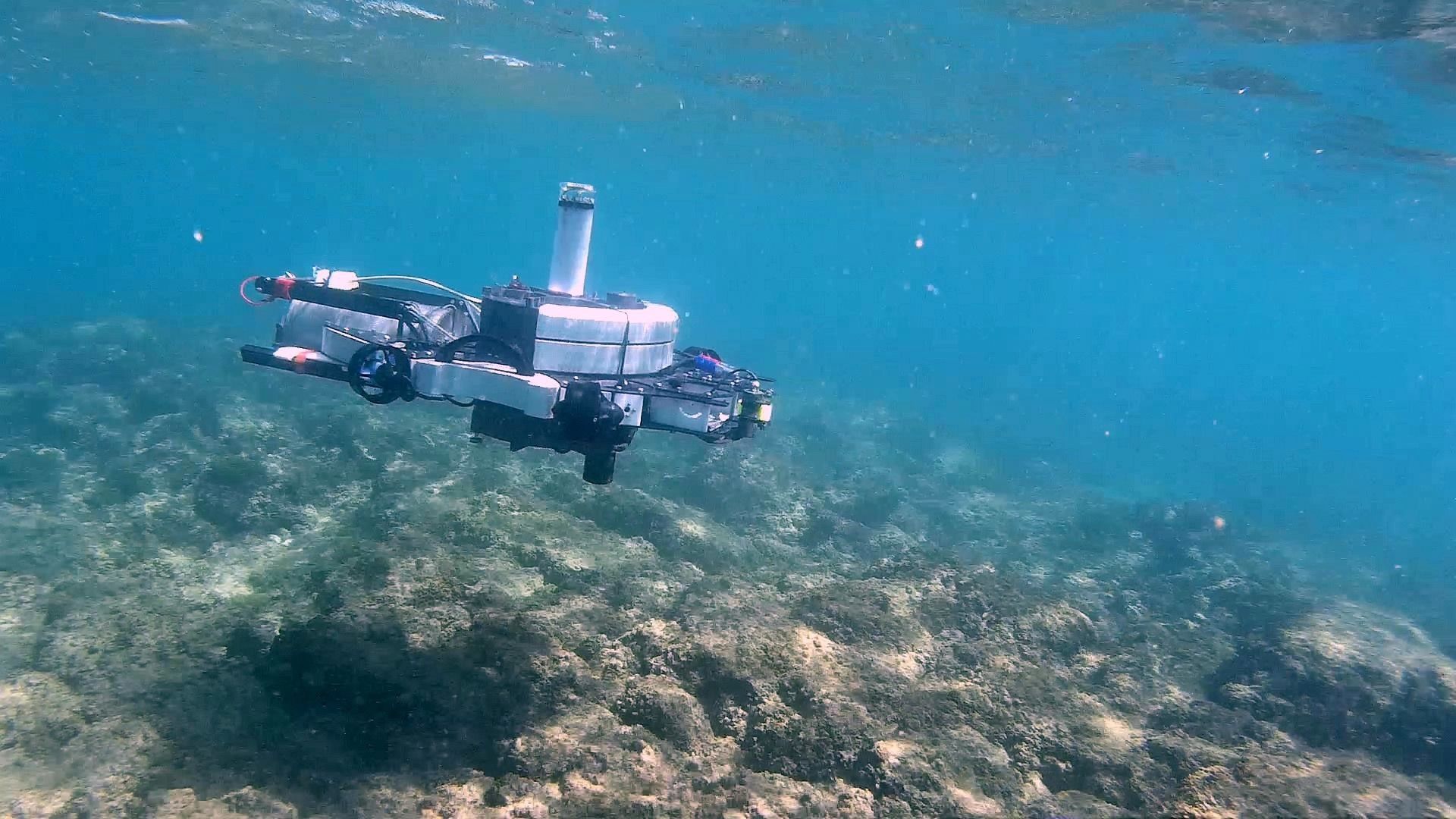 Ricercatori in azienda: dal drone subacqueo ai fattori molecolari