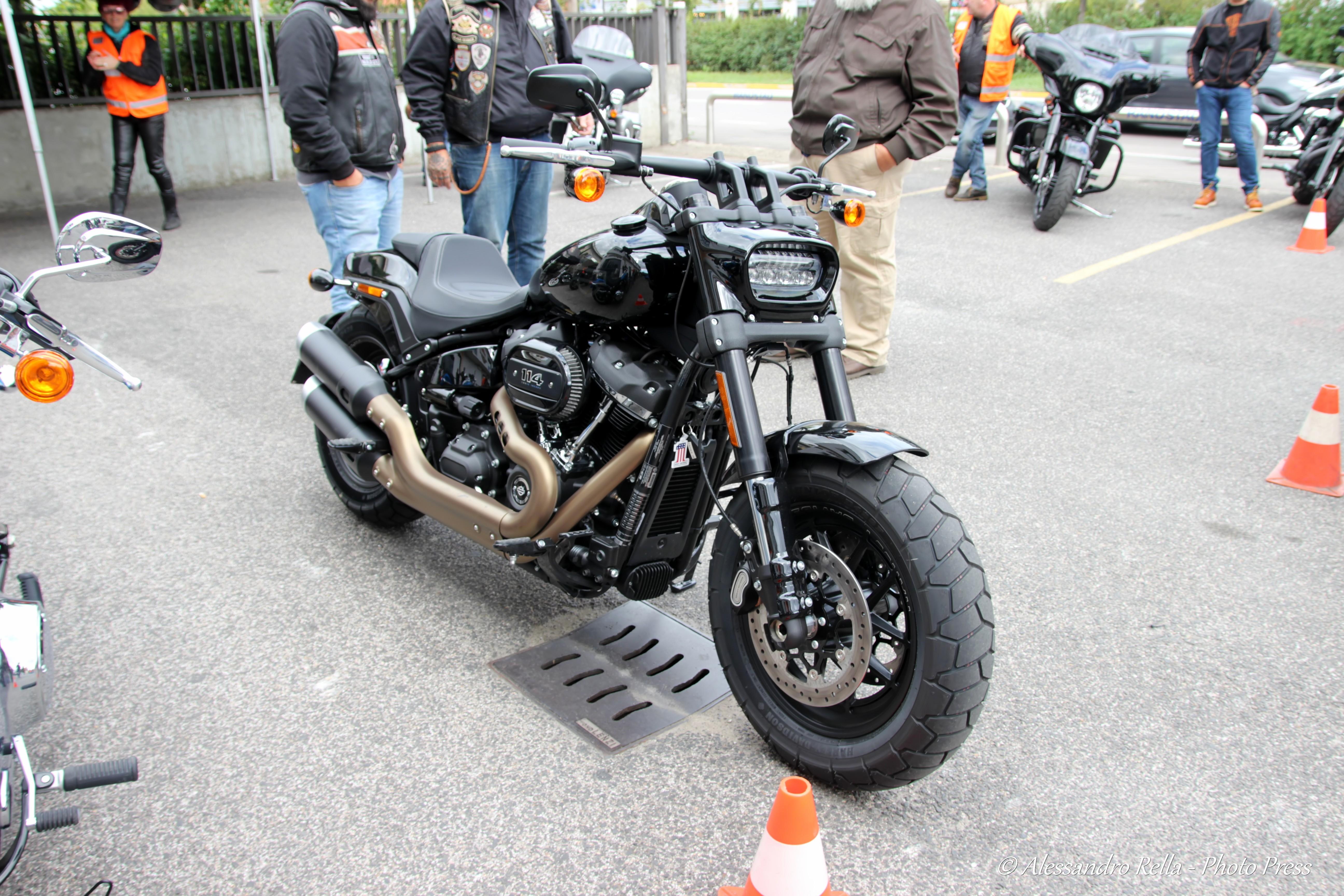 speed shop harley davidson