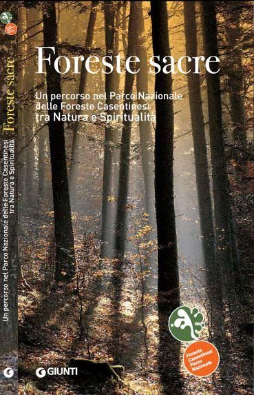 Carta Escursionistica N. 2459. Arezzo, Casentino, Parco Nazionale Delle Foreste Casentinesi, Monte Falterona, Campigna - Libro - Kompass | Libreria Universitaria