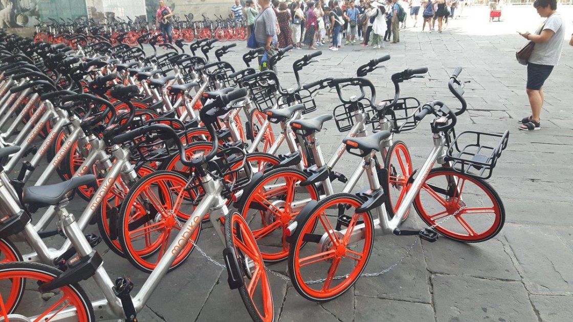biciclette pieghevoli da 24 a firenze