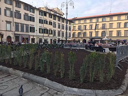 Fratelli d'Italia: 'Il tram in San Marco merita un approfondimento' - Vimarsana News
