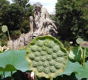 ​Pratolino: Water will flow again in the Colossus of the Apennines - Vimarsana News